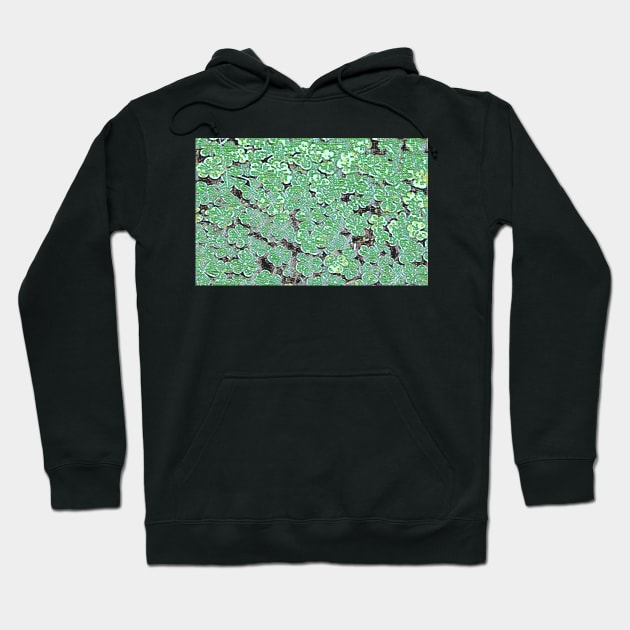 Shamrock Glass Hoodie by Tovers